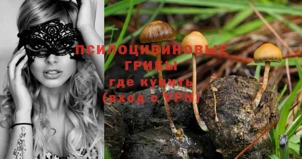 хмурый Осташков