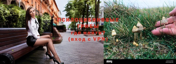 ешки Остров