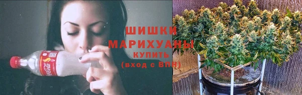 прущие грибы Бабаево