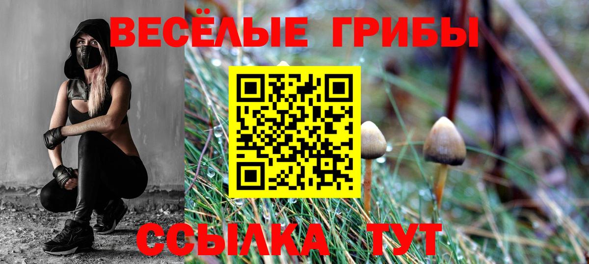Псилоцибиновые грибы Psilocybine cubensis Химки