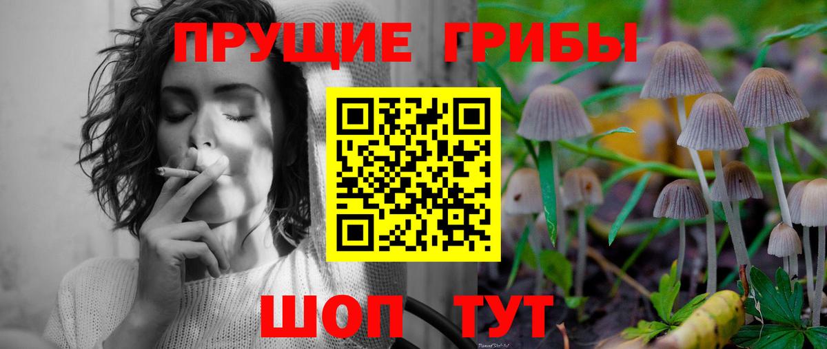 Химки  Псилоцибиновые грибы Magic Shrooms  Вход с VPN 
