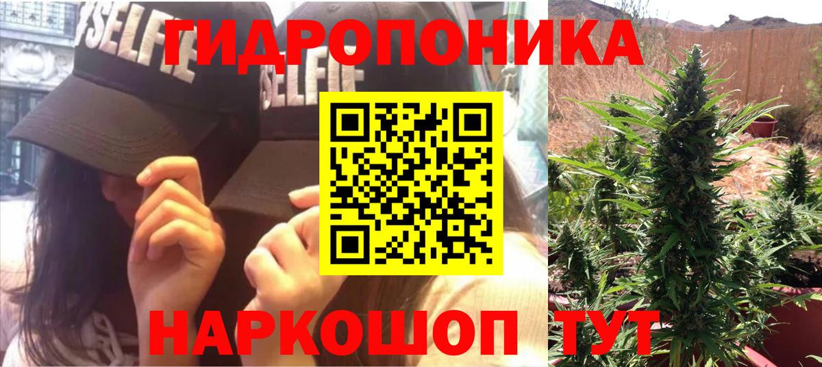 Шишки марихуана тримм  Вход с VPN  Химки  Каннабис план 
